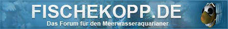 Fischekopp.de
