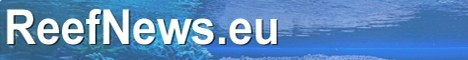 reefnews
